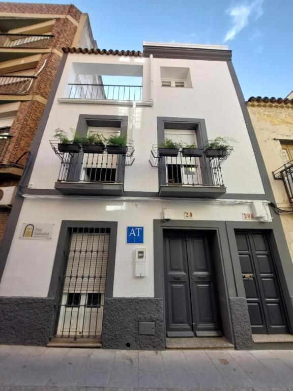 Apartamentos San Salvador Parking Gratis Mérida Kültér fotó